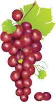 fruits & Grape free transparent png image.