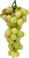 fruits & Grape free transparent png image.