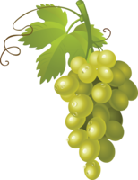 fruits & Grape free transparent png image.