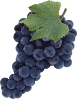 fruits & Grape free transparent png image.