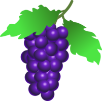 fruits & grape free transparent png image.