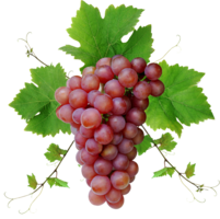 fruits & grape free transparent png image.