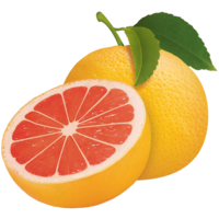 fruits & Grapefruit free transparent png image.