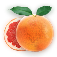 fruits & Grapefruit free transparent png image.