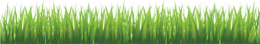 nature & grass free transparent png image.