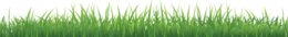 nature & Grass free transparent png image.