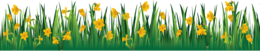 nature & Grass free transparent png image.