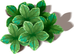 nature & green leaves free transparent png image.