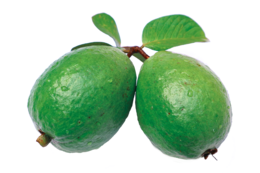 fruits & guava free transparent png image.