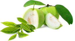 fruits & guava free transparent png image.