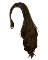 people & hair free transparent png image.