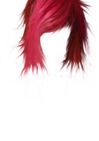 people & hair free transparent png image.