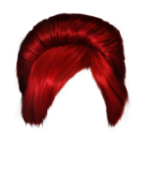 people & hair free transparent png image.