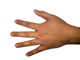 people & Hands free transparent png image.