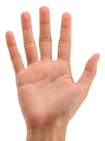 people & Hands free transparent png image.