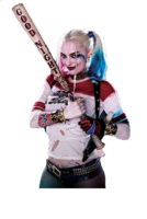 heroes & Harley Quinn free transparent png image.