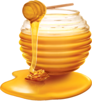 food & honey free transparent png image.