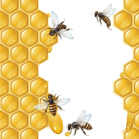 food & Honey free transparent png image.