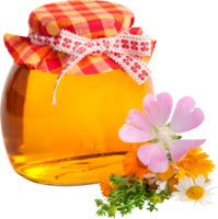 food & Honey free transparent png image.