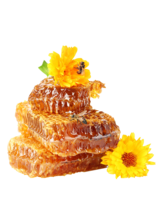 food & Honey free transparent png image.