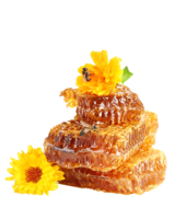 food & Honey free transparent png image.