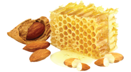 food & Honey free transparent png image.