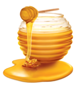 food & Honey free transparent png image.