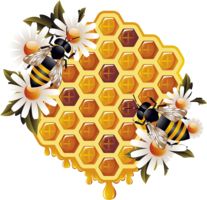 food & Honey free transparent png image.