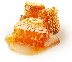 Honey&food png image