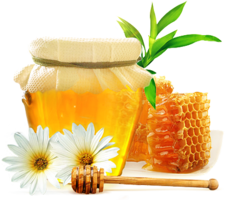 food & Honey free transparent png image.