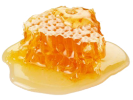 food & Honey free transparent png image.