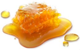 food & Honey free transparent png image.