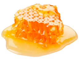 food & Honey free transparent png image.