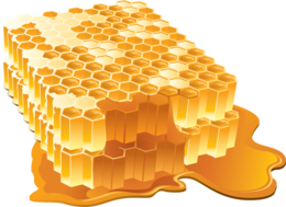 food & Honey free transparent png image.