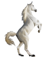 animals & Horse free transparent png image.