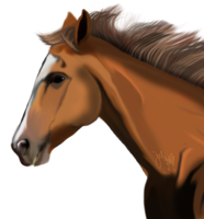 animals & horse free transparent png image.