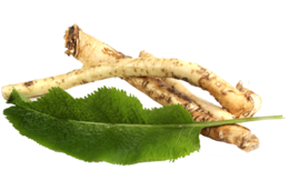 vegetables & horseradish free transparent png image.