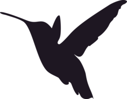 animals & Hummingbird free transparent png image.