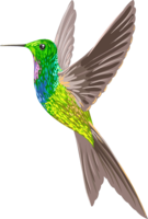 animals & Hummingbird free transparent png image.