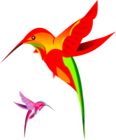 animals & Hummingbird free transparent png image.