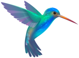 animals & Hummingbird free transparent png image.