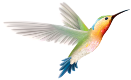 animals & Hummingbird free transparent png image.