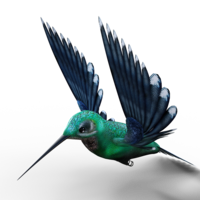 animals & Hummingbird free transparent png image.