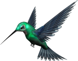 animals & Hummingbird free transparent png image.