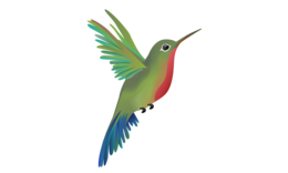 animals & Hummingbird free transparent png image.