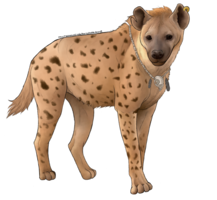 animals&Hyena png image.