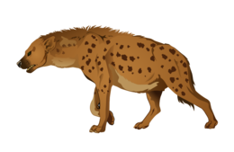 animals & Hyena free transparent png image.