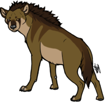 animals & hyena free transparent png image.