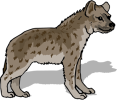 animals & hyena free transparent png image.