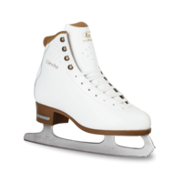 sport & Ice skates free transparent png image.